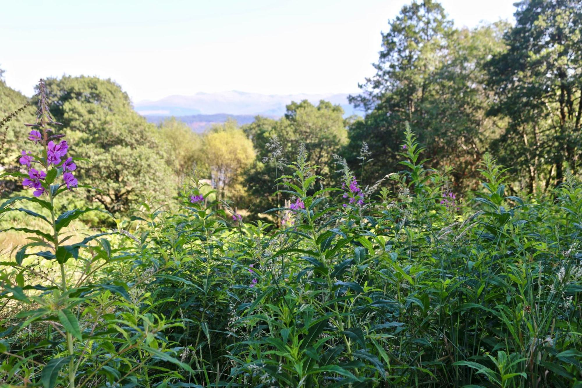 Inverskilavulin Estate Lodges ฟอร์ตวิลเลียม ภายนอก รูปภาพ